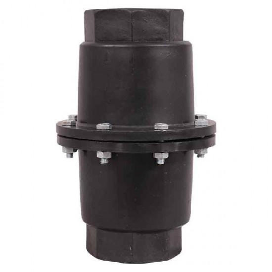 Non Return Valve / 2 Inch
