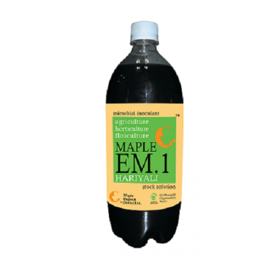 Maple EM.1 Hariyali