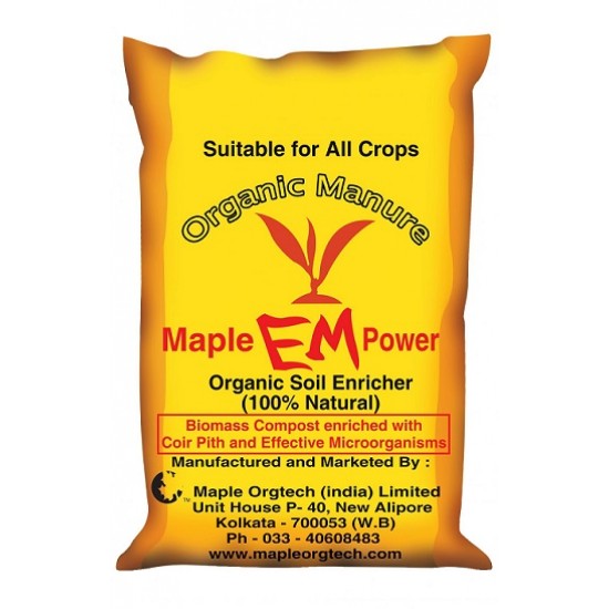 Maple EM Rich Power