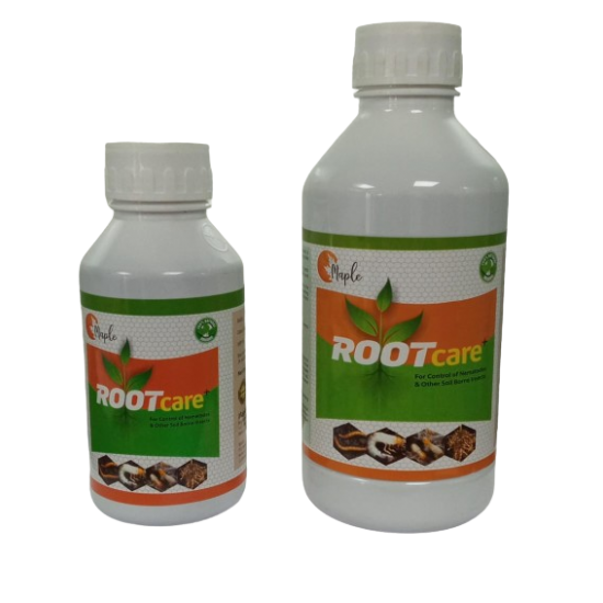 Maple RootCare+