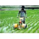 BHEEM Paddy Weeder Model BM 175