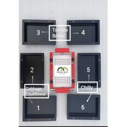 Tray Seeder -  Seed Plate