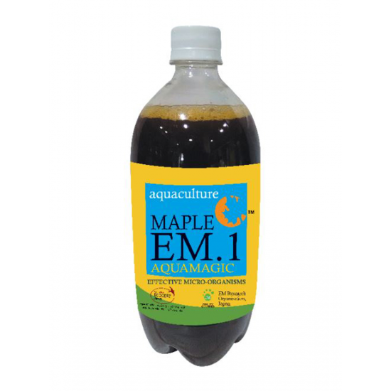 Maple EM.1 Aquamagic