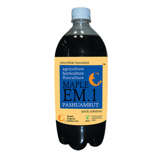 Maple EM.1 Pashuamrut