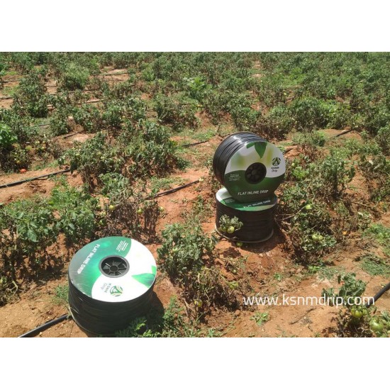 Flat Inline / 200-16-4-40 / 1000 Meter